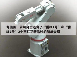 寿仙谷：公司自主选育了“番红1号”和“番红2号”2个西红花新品种的简单介绍