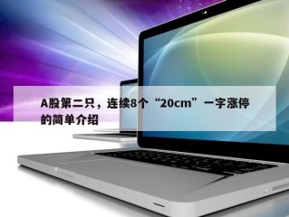 A股第二只，连续8个“20cm”一字涨停的简单介绍