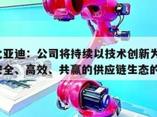 关于比亚迪：公司将持续以技术创新为牵引，打造安全、高效、共赢的供应链生态的信息