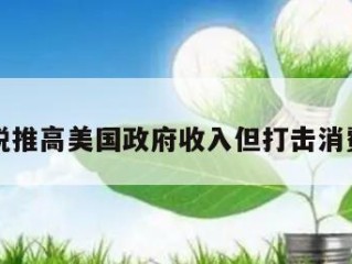 关税推高美国政府收入但打击消费者