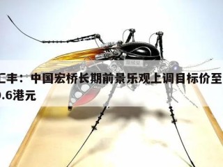 汇丰：中国宏桥长期前景乐观上调目标价至20.6港元
