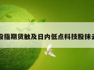美国股指期货触及日内低点科技股抹去涨幅