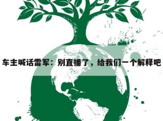 车主喊话雷军：别直播了，给我们一个解释吧