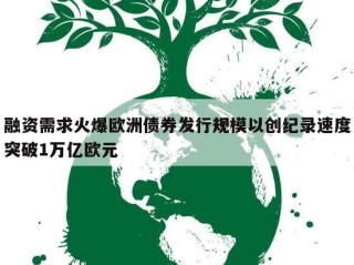 融资需求火爆欧洲债券发行规模以创纪录速度突破1万亿欧元
