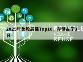 2025年美股最强Top10，存储占了3只